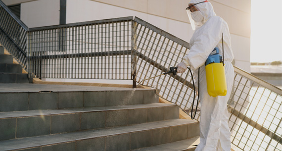 Mosquito Fogging Treatment for Society