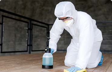 Termite Treatment Tips for Homes