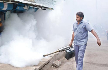 Mosquito Prevention Tips