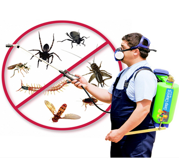 Mosquito Pest Control Treatment