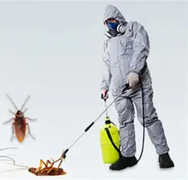 Cockroach Pest Control