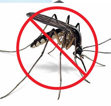 Mosquito Control Treatment